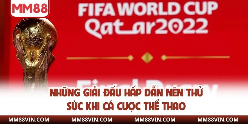 Những giải đấu hấp dẫn nên thử sức khi cá cược thể thao