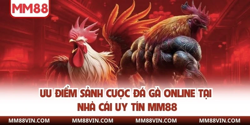 Ưu điểm sảnh cược đá gà online tại nhà cái uy tín MM88